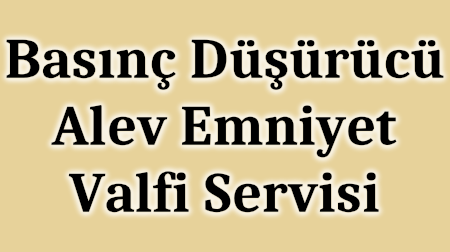 Basınç Düşürücü Alev Emniyet Valfi Servisi - Tel: (216) 374 36 69 Tuzla İstanbul TÜRKİYE